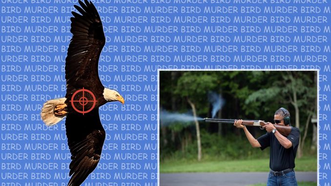 obama-bird-murder.jpg