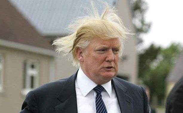 hair404a_677734n.jpg