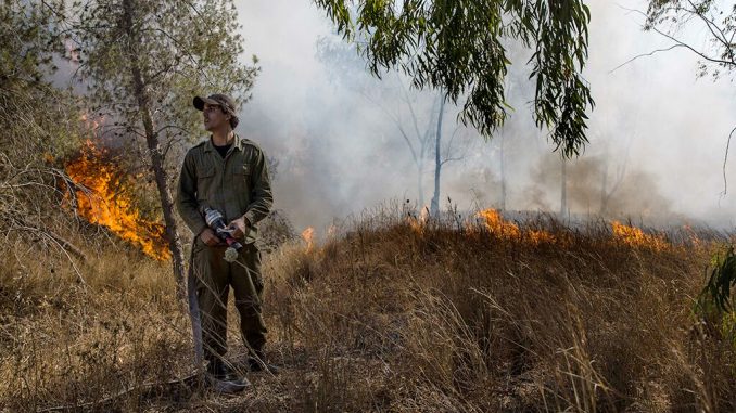 Arson-Gaza.jpg