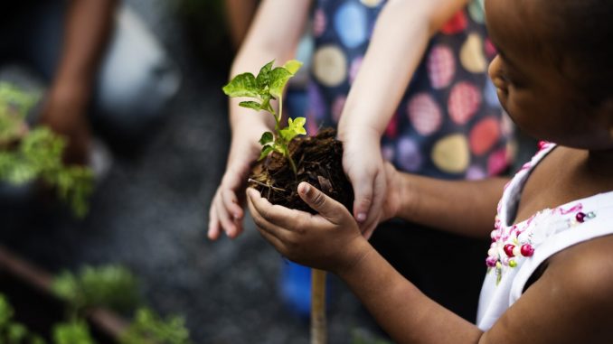 child-with-tree-shutterstock.jpg