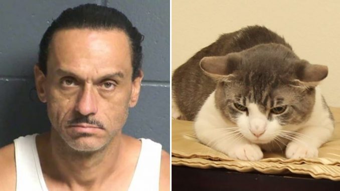 Cat-meth-Aaron-Spaulding.jpg