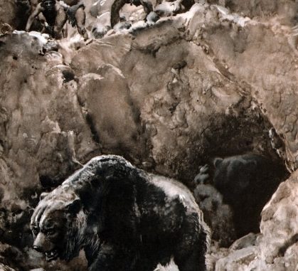 cave-bear.jpg