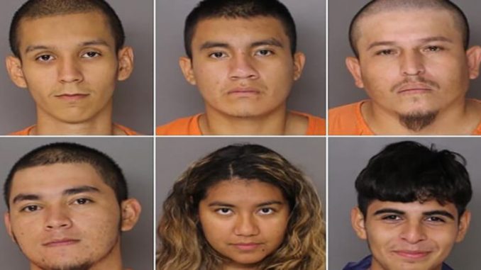MS13.jpg