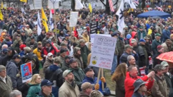 Image result for Conservatives, Militias Take Over DC In March For Gun Rights