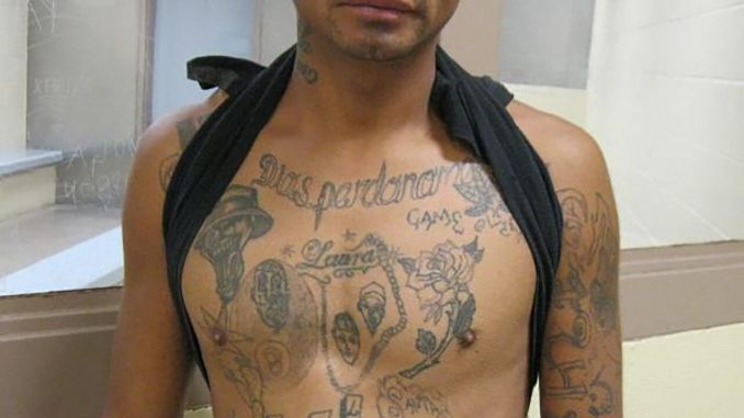 MS13-arrest-Arizona-border.jpg