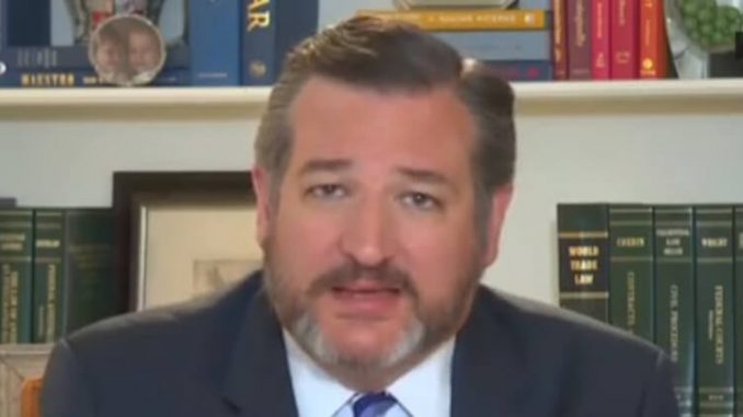 Senator-Ted-Cruz.jpg