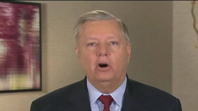 lindsey-graham-witnesses.jpg