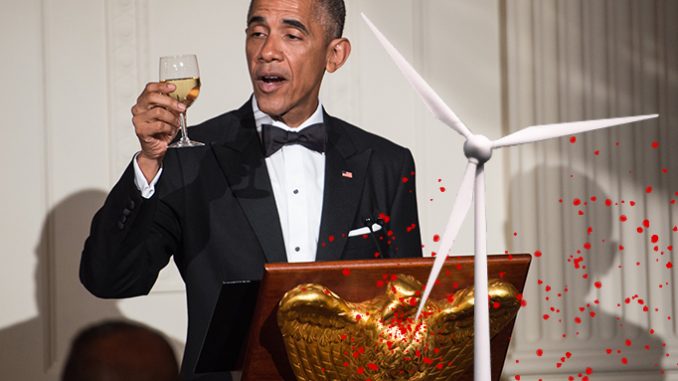 obama-bird-death1.jpg